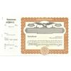 Goes 508 Stock Certificate