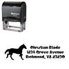 Self Ink Horse Crystal Radio Kit Customized Address Stamp
