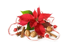 Holiday Spice Chai