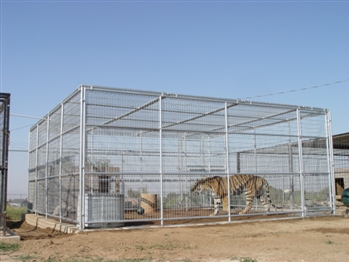 18'W x 18'D x 8'H Exotic Animal Enclosure with Front & Rear Entry & Center Shift Door