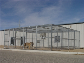24'W x 24'D x 8'H Exotic Animal Enclosure with Front & Rear Entry and Center Shift Door