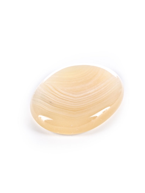Inu! Zodiac Crystals-Pisces