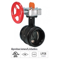 Victaulic Butterfly Valve (open)