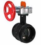 Victaulic Butterfly Valve (closed)