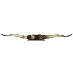 Longhorn Horns