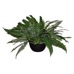 Faux Fern