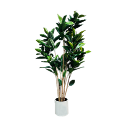 Faux Rubber Tree Plant