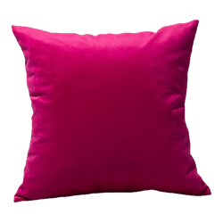 Berry Velvet Pillow