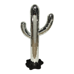 Disco Cactus