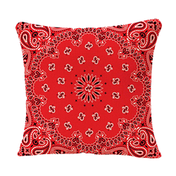 Red Bandana Pillow