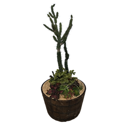 Cactus Weighted Half Barrel