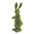Furry Moss Bunny