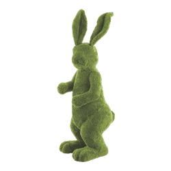 Furry Moss Bunny