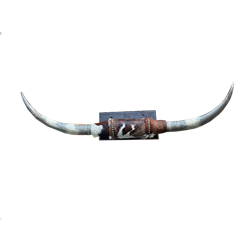 Mounted Longhorn Horns 44"