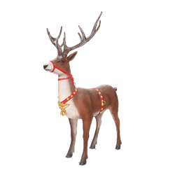 Reindeer