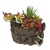 Saddle Vase with Succulents