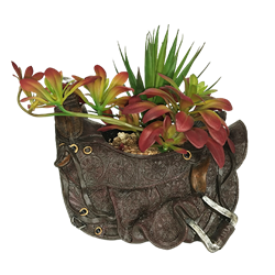 Saddle Vase with Succulents