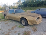 Image of 1978 Pontiac Firebird Trans Am Gold Special Edition Y-88