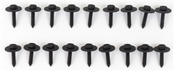 Image of 1977 - 1978 Firebird or Trans Am Front Bumper Cover Mounting Screws Hardware