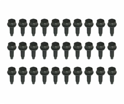 Image of 1968 - 1981 Door Hinge Mounting Bolts Set