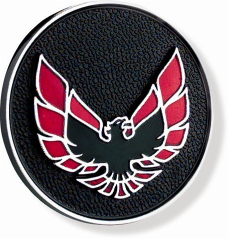 Firebird Central | 1970 - 1981 Firebird Door Panel Handle Hole