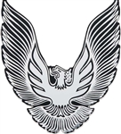 Image of 1979 - 1981 Firebird Fuel Filler Door Emblem, Silver, Replaces GM # 5973147