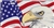 Image of American Flag with Bald Eagle License Plate