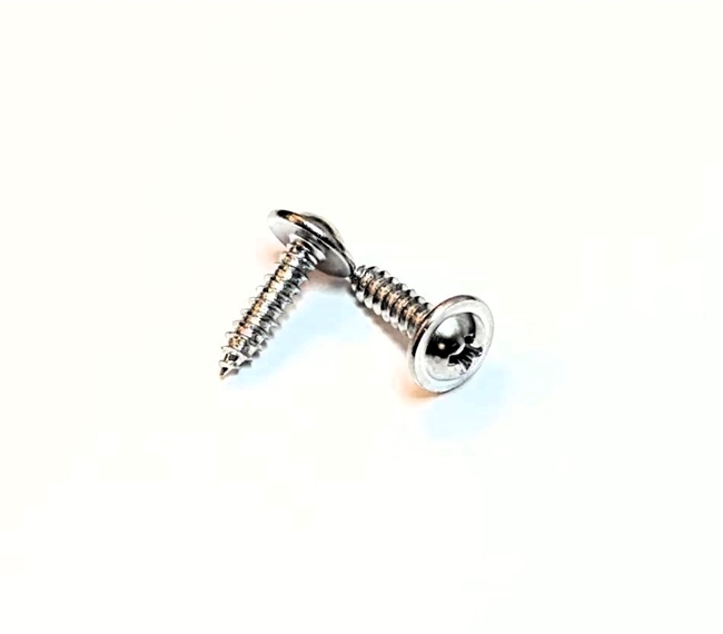 Image of 1974 - 1981 Firebird Headliner Coat Hanger Hook Screws, Pair