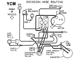 1986 Firebird Emission Hose Routing Decal 5.0 YCM