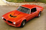 Image of 1973 - Early 1978 Trans Am Hood Bird and Decals - Kit