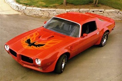 Image of 1973 - Early 1978 Trans Am Hood Bird and Decals - Kit