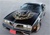 Image of 1976 - 1978 Trans Am Special Edition German Style Decal Kit, Roll Pinstripes