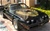 Image of 1978 - 1980 Trans Am SE Special Edition Decal Kit, Roll Pinstripes