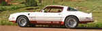 Image of 1977 - 1979 Trans Am Macho T/A Decal Kit