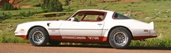 Image of 1977 - 1979 Trans Am Macho T/A Decal Kit
