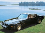 Image of 1980 Turbo Trans Am SE Special Edition Decal Kit, Roll Pinstripes