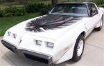 Image of 1980 Trans Am Turbo Indy Pace Car Decal Kit, Roll Pinstripes