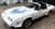 Image of 1981 Trans Am Decal Kit Two Color for Non Turbo Engines