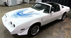 Image of 1981 Trans Am Decal Kit Two Color for Non Turbo Engines