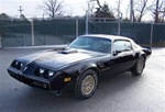 Image of 1981 Trans Am - Special Edition Decal and Stripe Kit