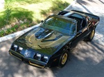 Image of 1981 Trans Am Turbo Special Edition Decal Kit