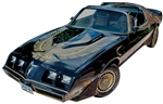 Image of 1981 Trans Am Turbo Special Edition Ultimate Decal Kit