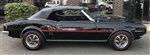 Image of 1967 - 1968 Firebird Sprint Side Body Decal Kit with H.O.