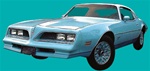 Image of 1977 - 1978 Sky Bird Firebird Esprit Bird Stripe Decal Kit