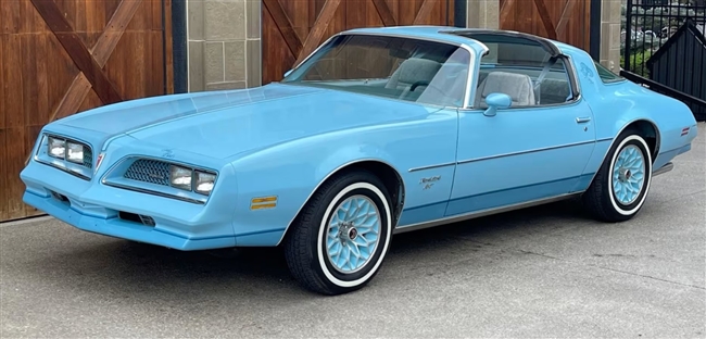 Image of 1977 - 1978 Sky Bird Firebird Esprit Blue Bird Stripe Decal Kit