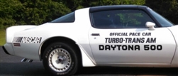 Image of 1981 Trans Am NASCAR Daytona 500 Pace Car Door, Quarter, and Windshield Decal Kit