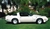 Image of 1981 Trans Am Nascar Daytona 500 Pace Car Ultimate Decal Kit