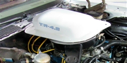 Image of 1981 Trans Am Hood Scoop Decal "T/A 4.9", Each