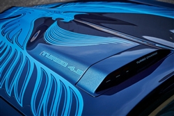 Image of 1981 Trans Am Hood Scoop Decal, Turbo 4.9