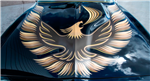 Image of 1980 Trans Am Turbo Hood Bird & Flame Decals